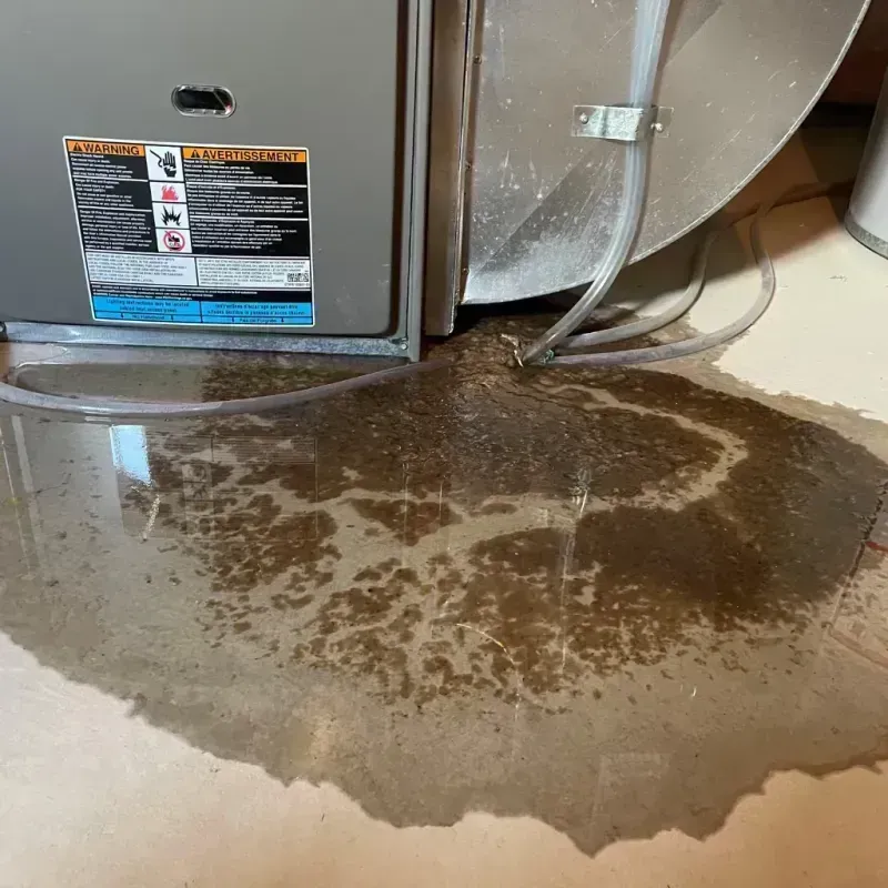 Appliance Leak Cleanup in San Bernardino, CA